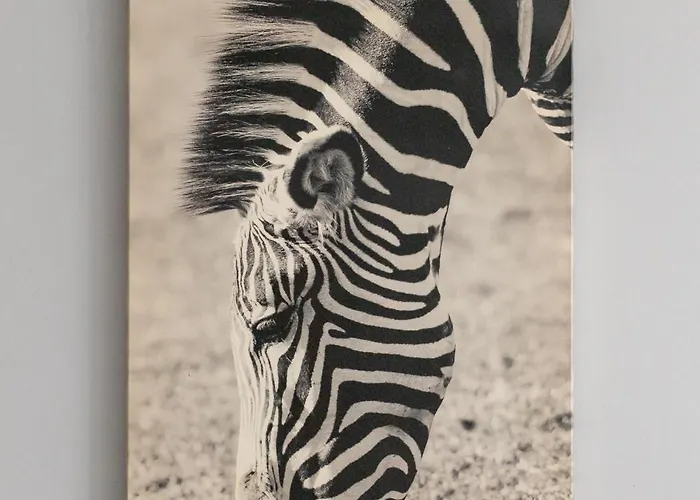 9 Maja Bright By Bookinghost Apartmán *